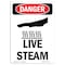Signmission Safety Sign, OSHA Danger, 14" Height, Aluminum, Live Steam, Portrait OS-DS-A-1014-V-1424 - alternate 1